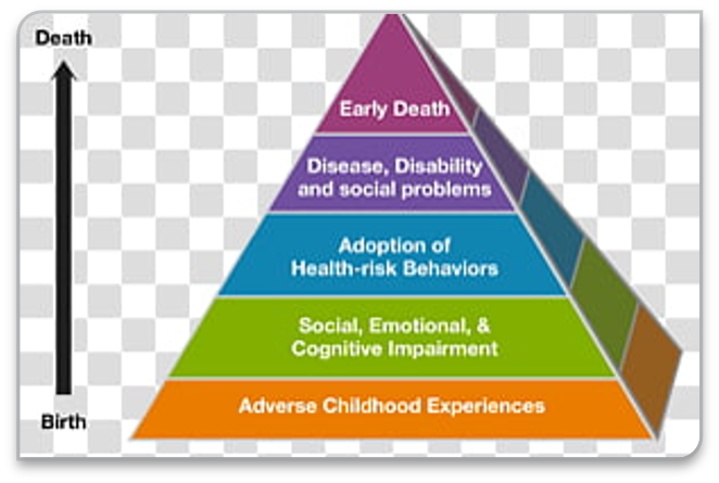 social epidemiology historical trauma or intergenerational trauma